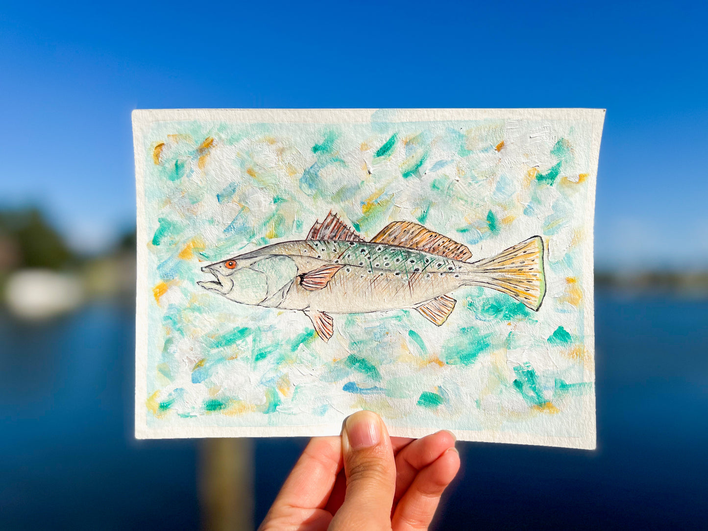 Speckled Trout